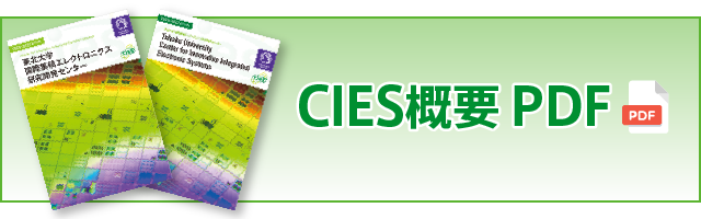 CIES概要 PDF